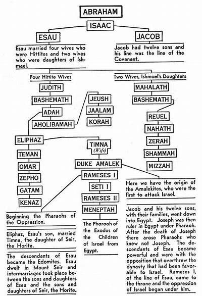 Jesus Family Tree, Bible Family Tree, Bible Genealogy, Revelation Bible Study, About Bible, Genealogy Of Jesus, Bread Of Life, Revelation Bible, Bible Study Topics