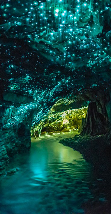 Waitomo Glowworm Caves near Otorohanga on New Zealand's North Island • photo: Kristin Pierce on Flickr Glowworm Caves, The Tourist, Alam Semula Jadi, Magical Places, Places Around The World, Natural Wonders, Tourist Attraction, Vacation Spots, Travel Dreams