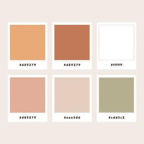 Burnt oranges, dusty rose/peaches, deep greenery, champagne Burnt Orange Bedroom Color Pallets, Dusty Peach Color, Feminine Homestead, Dusty Orange Color Palette, Rust And Blush Color Palette, Green Champagne Color Palette, Muted Peach Color Palette, Burnt Color Palette, Dusty Peach Paint