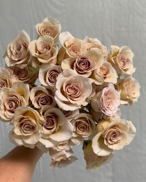 Urban Elements | Ronna Newsom on Instagram: "It’s quite possible I’ve found the perfect rose for your taupe wedding. May I introduce you to “Metallina”! . . . . ##peterkortroses #taupewedding #beigewedding #nudewedding #fleshroses #petiteroses #portlandweddingflorist #modernwedding" Neutral Colored Flowers, Micro Ceremony, Taupe Roses, Bronze Flowers, Elopement Venues, Beige Roses, Flower Aesthetics, Taupe Wedding, Flower Types