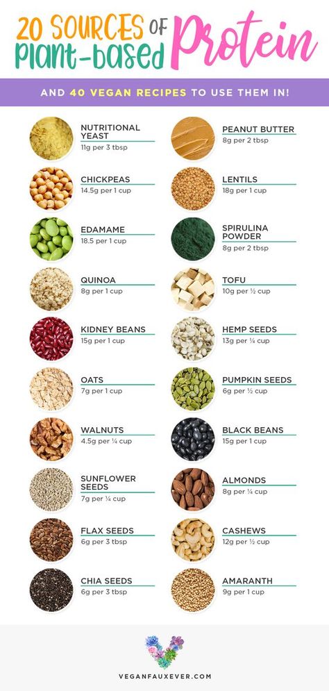 Plant Based Protein Sources, Vegan Protein Sources, Protein Dinner, High Protein Vegan Recipes, Vegetarian Protein, High Protein Vegan, Vegan Nutrition, Makanan Diet, Plant Based Eating