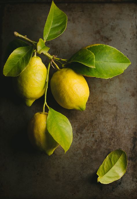 Lemon Pictures, Still Life Pictures, Gubahan Bunga, Fruits Photos, Still Life Fruit, Fruit Photography, Still Life Photos, Beautiful Fruits, Still Life Drawing