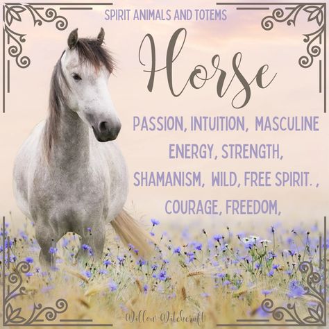 Horse Totem Spirit Animal, Spirit Animal Horse, Horse Meaning, Horse Symbolism, Horse Spirit Animal, Christian Witch, Animal Totem Spirit Guides, Kitchen Witches, Arch Angels