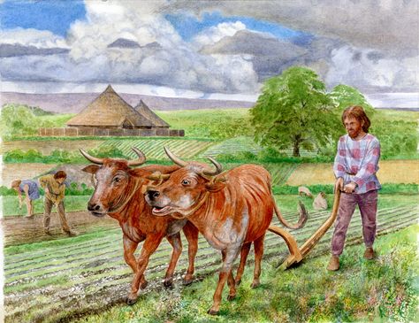 Julian Cross - Iron Age farm with ploughing in the foreground Historic Illustration, Kingdom Of Kongo, Historical Illustration, Ancient Celts, Aztec Warrior, History Fashion, Historical Period, New Inventions, Iron Age