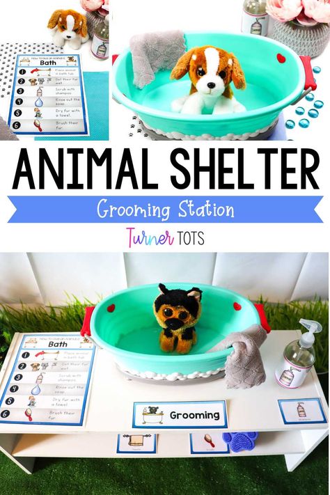 Animal Pretend Play Ideas, September Dramatic Play Ideas, Dramatic Play Center Themes, Diy Pet Vet Dramatic Play, Dramatic Play Center Kindergarten, Pet Dramatic Play Preschool, Veterinary Dramatic Play Center, Classroom Pretend Play Area, Pet Groomer Dramatic Play