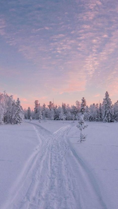 I Love Winter, Pretty Landscapes, Winter Love, Winter Wallpaper, Christmas Wonderland, Winter Scenery, Winter Wonder, Winter Pictures, Winter Aesthetic