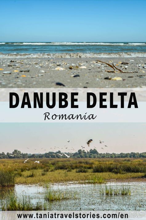 Danube Delta, Romania, one of the most diverse ecosystems in Europe #romania #travel #hiddengemseurope Travelling Tips, Travel, Hiking, Hidden Gems Europe, Danube Delta, Romania Travel, Europe Travel, Romania, Travel Tips