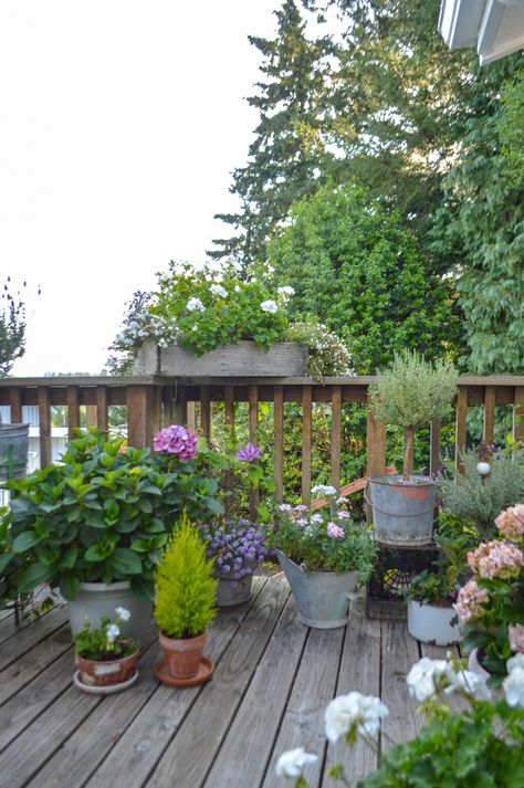 Small Potted Garden Ideas, Terrace Pots Ideas, Pots On Decking Ideas, Deck Flowers Ideas Planters, Cottagecore Deck, Pot Garden Ideas Small Spaces, Plants On Deck Ideas, Balcony Flowers Apartment, Plants On Terrace