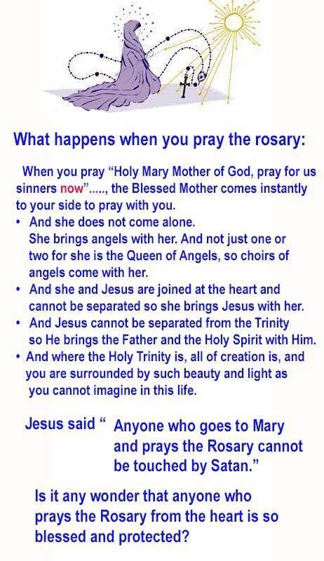 Praying The Rosary Catholic, Faith Aesthetic, Catholic Core, Souls In Purgatory, Rosary Prayers Catholic, Thanks Be To God, Ancient Irish, Pray The Rosary, Catholic Beliefs