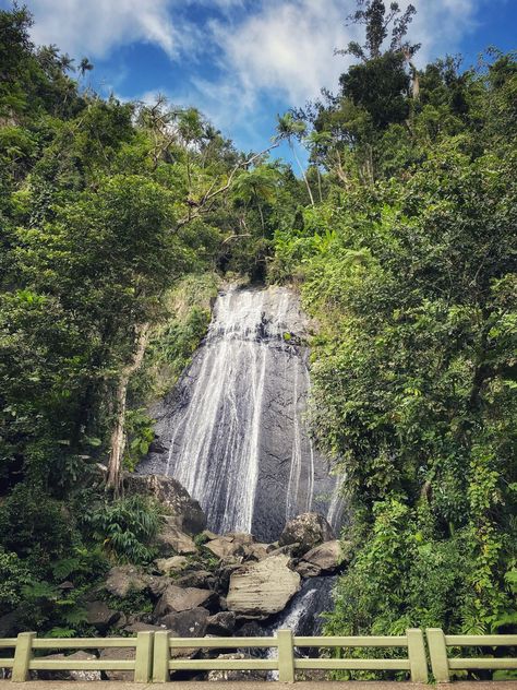 Looking to explore El Yunque Rainforest while you're in Puerto Rico? Here you will find El Yunque waterfalls, El Yunque hiking, El Yunque Puerto Rico, El Yunque rain forest, what to wear in El Yunque, things to do in El Yunque #elyunque #puertorico El Yunque National Forest, San Juan, El Yunque Puerto Rico, La Hikes, El Yunque Rainforest, Puerto Rico Trip, Puerto Rico Vacation, Summer Vacation Spots, Island Theme