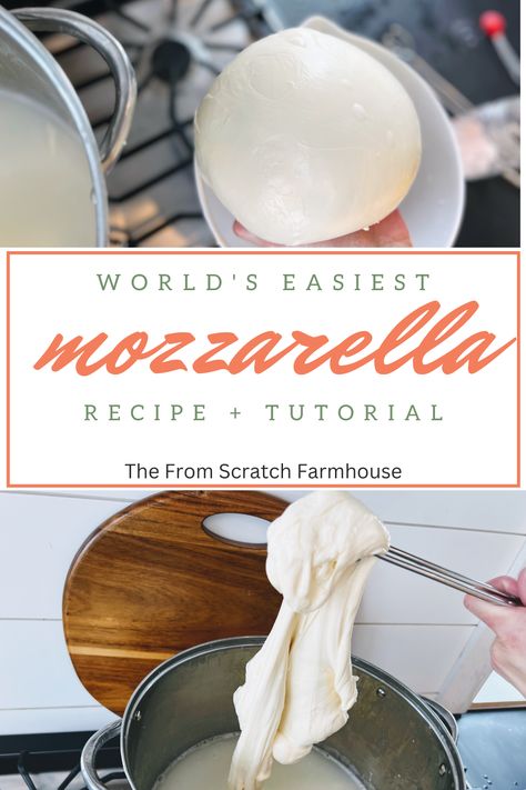 easiest mozzarella cheese recipe Family Milk Cow, Mozzarella Cheese Recipe, Make Mozzarella Cheese, Homemade Mozzarella Cheese, Recipes With Mozzarella Cheese, Mozzerella Cheese, Cheese Recipes Homemade, Homemade Mozzarella, Raw Cheese