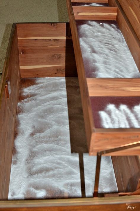 Upcycling, Repurposed Hope Chest, Wooden Chest Makeover, Refinished Cedar Chest Ideas, Refinish Hope Chest, Diy Storage Bench Plans, Antique Cedar Chest, Hope Chest Makeover, Cedar Chest Redo