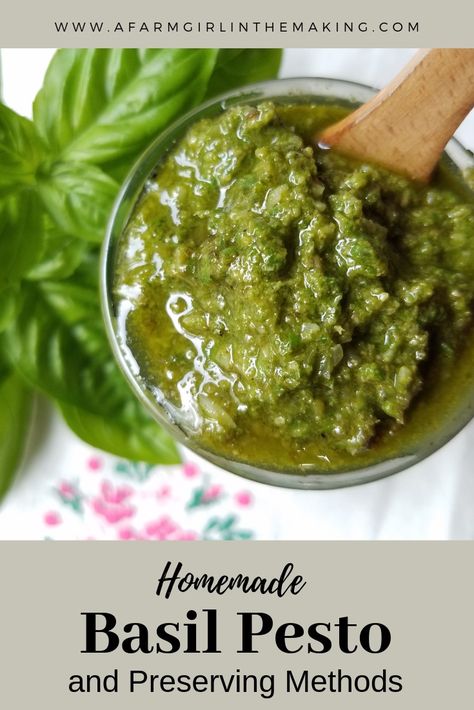 Homemade basil pesto can be consumed fresh or preserved to be enjoyed at a later time. This easy to make recipe will only take minutes to make, enjoy it! www.afarmgirlinthemaking.com Can Pesto Be Canned, Canned Pesto Recipe, Basil Pesto Recipe Canning, Canning Pesto, Freezing Pesto, Homemade Basil Pesto, Basil Pesto Recipe, Homemade Pesto Recipe, Pesto Recipes