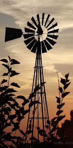 Country Scenes Farms Landscapes, Windmill Silhouette, Clock Tattoos, Farm Windmill, Windmill Water, Vive Le Vent, Wind Mills, Barn Pictures, Old Windmills