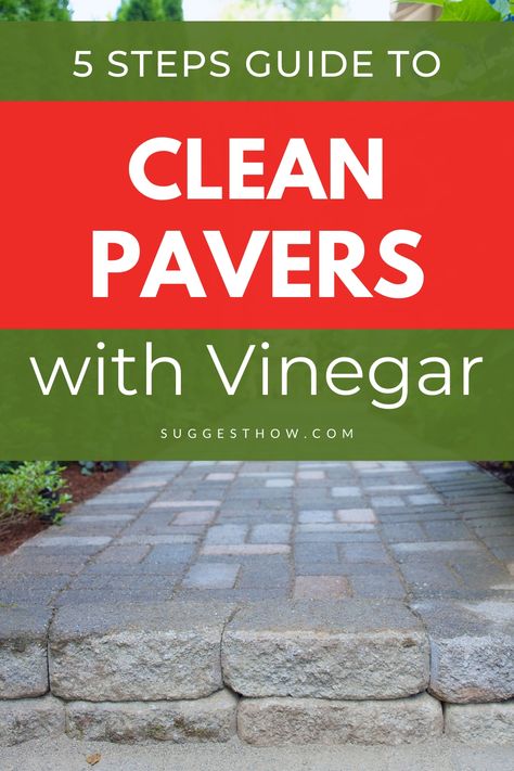 Cleaning Brick Patio, Patio Cleaning Tips, How To Clean Pavers Patio, Diy Cement Pavers, Cleaning Pavers, How To Clean Stone, Patio Cleaning, Outdoor Patio Pavers, Landscape Bricks