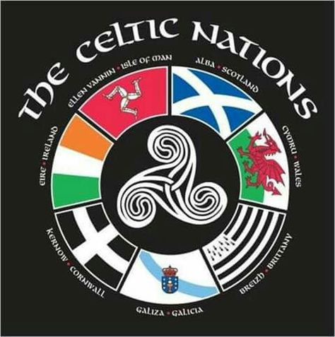 Celtic nations Celtic Mythology, Scotland Symbols, Clan Symbols, Celtic Nations, Celtic Pride, Scots Irish, Celtic Heritage, Celtic Culture, Irish History