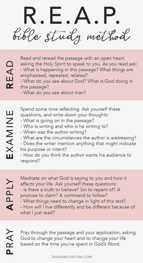 Free Printable Devotions For Women, Bible Study Strategies, Jen Wilkin Bible Study Method, Soar Bible Study Method, Esther Bible Study Free Printable, Free Bible Study Plans For Women, How To Create Your Own Bible Study Notebook, Scripture Study Lds Ideas, Middle School Bible Study Lessons