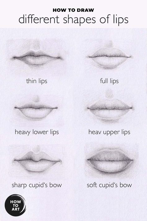 Learn how to draw differen types of lips: What to watch out for, characteristics, tipps. Types Of Mouth Drawing, Croquis, How To Draw Different Lips, Types Of Eye Shapes Drawing, How To Draw Different Eyes Shapes, How To Draw Mouths Realistic, Different Types Of Lips Drawing, Lips Shapes Drawing, Lip Drawing Reference Realistic