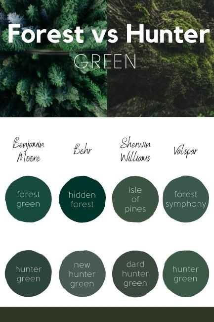 Benjamin Moore Emerald Green Paint Colors, 2023 Dark Green Paint Color, Hunter Green Paint Colors Behr, Behr Forest Green Paint, Sherwin Williams Essex Green, Benjamin Moore Sherwood Forest, Deep Moody Green Paint Color, Emerald Green Benjamin Moore, Forest Green Cabinets Bathroom