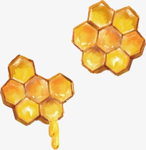 Bee Honeycomb Painting, Honey Come Drawing, Beehive Drawing Honeycombs, Dripping Honeycomb Drawing, Honey Comb Drawing Realistic, Honey Comb Painting Easy, Honeycomb Drawing Art, Honeycomb Art Drawing, Bee Png Aesthetic