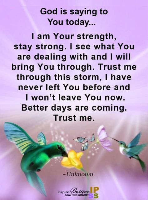 Tumblr, Humour, Praying For Strength Quotes, Inspiring Verses, God Is Saying, Pray For Strength, Morning Sayings, Prayer For Guidance, Prayers Of Encouragement