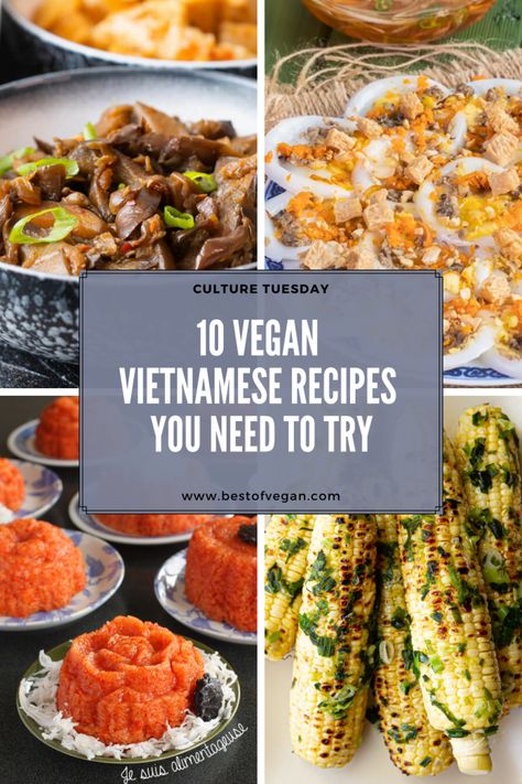 Learn more about the signature dishes of Vietnamese cuisine in the new Culture Tuesday column and get 10 delicious vegan Vietnamese recipes here.#bestofvegan#veganvietnameserecipes#veganasiancuisine#veganvietnamese#veganvietnamesecuisine Vietnamese Recipes Vegetarian, Vietnamese Vegan Recipes, Vegetarian Vietnamese Recipes, Vietnamese Vegetarian Recipes, Vegan Vietnamese Recipes, Vegan Eggplant Recipes, Vietnamese Food Recipes, Recipes Vietnamese, Vegan Vietnamese