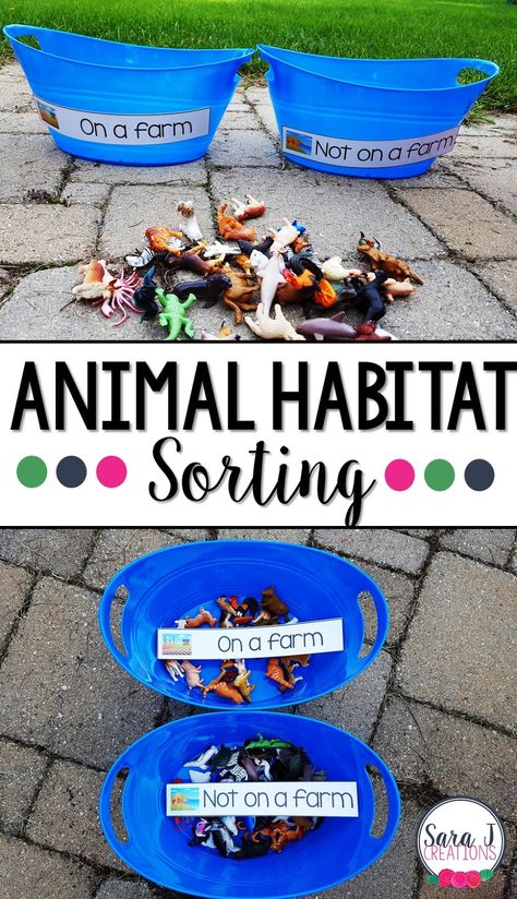 An animal habitat sort is a fun way to practice animals that live on a farm and animals that live in other places. Farmers Market Lesson Plans For Preschool, Ms Wishy Washy Activities, Preschool Farm Process Art, Western Sensory Bin, Ocean Animal Stem Activities, Land Animals Preschool Activities, Farm Activities Preschool, Farm Animals Preschool, Farm Lessons