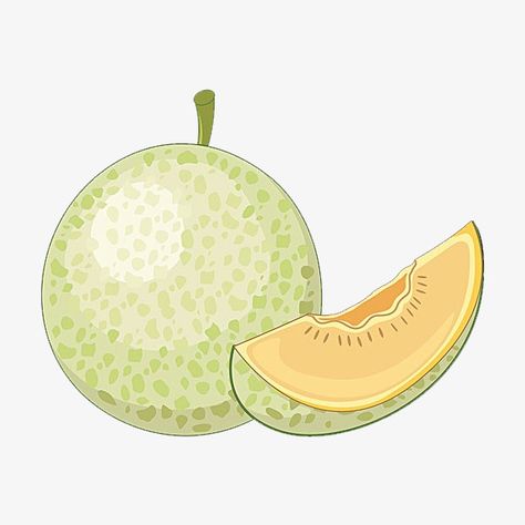 Melon Drawing, Buah Melon, Cantaloupe Fruit, Crab Cartoon, Malaysia Flag, Fruit Png, Watermelon Art, Eco Bag, Fashion Logo