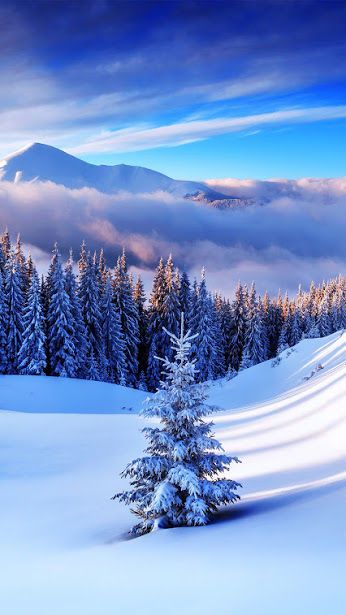 Nature Natur Snow Scenery, Winters Tafereel, Snowy Scene, 그림 낙서, Winter Mountain, Image Nature, Fotografi Alam Semula Jadi, Winter Magic, Winter Wallpaper