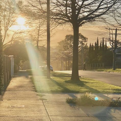 Nature, Traffic Lights Aesthetic, Sunny Day Photography, Aesthetic Birds, Perspective Landscape, Sunrise City, Warm Aesthetic, Lights Aesthetic, Sun Aesthetic