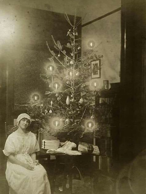 1800s Christmas tree Antique Christmas, Old Fashioned Christmas, Natal, Images Noêl Vintages, Victorian Christmas Tree, Old Time Christmas, Vintage Christmas Photos, Ghost Of Christmas Past, Vintage Everyday