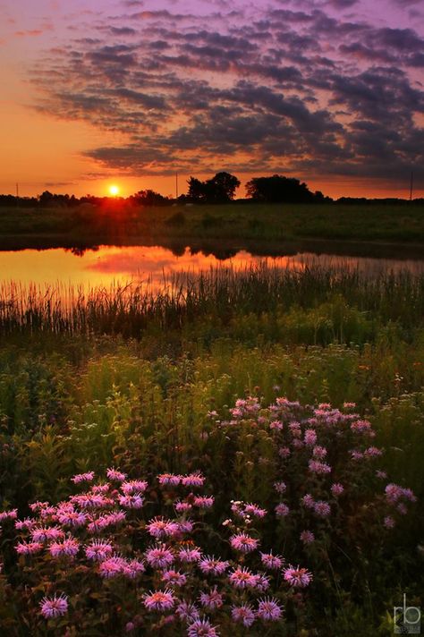 Rob Blair Photography   . . at Springfield Lake, Ohio Beautiful Images Nature Sunlight, Sunset Images Nature, Art Diary Ideas, Diary Ideas Aesthetic, Painting Ideas 2023, Ohio Pictures, Outside Nature, Acrylic Painting Ideas, Canvas For Beginners