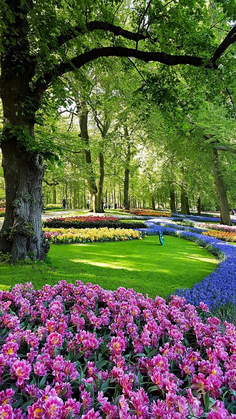 Beautiful Flower Garden Images, Flower Garden Photos, Beautiful Photos Of Nature Amazing Pictures, Beautiful Images Of Nature, Gardening Pictures, Flower Garden Pictures, Flower Garden Images, Flower Park, Beautiful Gardens Landscape