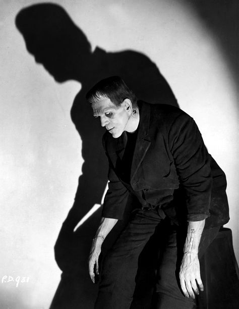 Boris Karloff Frankenstein, Frankenstein 1931, Classic Monster Movies, Frankenstein Art, The Legend Of Sleepy Hollow, Boris Karloff, Horror Monsters, Famous Monsters, Frankenstein's Monster