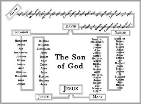 Secret Society Releases List Of 9,000 Alleged Descendants of Jesus Jesus Family Tree, Bible Family Tree, Bible Genealogy, Genealogy Of Jesus, Bible Mapping, Gospel Of Luke, Bible Study Help, Bible Study Notebook, Bible History