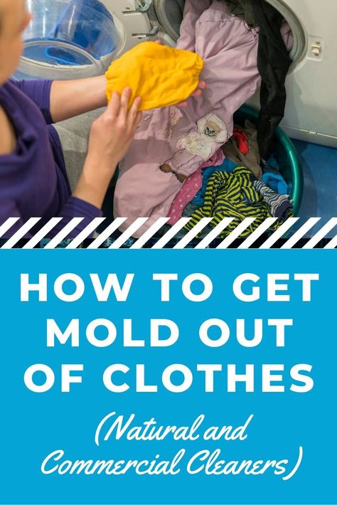 Mold can be hard to contend with when you live in a humid region. Still, it's never fun to find that discoloration on your clothes. Learn how to get mold out of clothes without damaging your clothing. Mold Out Of Clothes, Mold On Clothes, Remove Mold From Clothes, Remove Mould From Fabric, Remove Mold Stains, Mold Smell, Stain Remover Clothes, Mold And Mildew Remover, Smell Remover