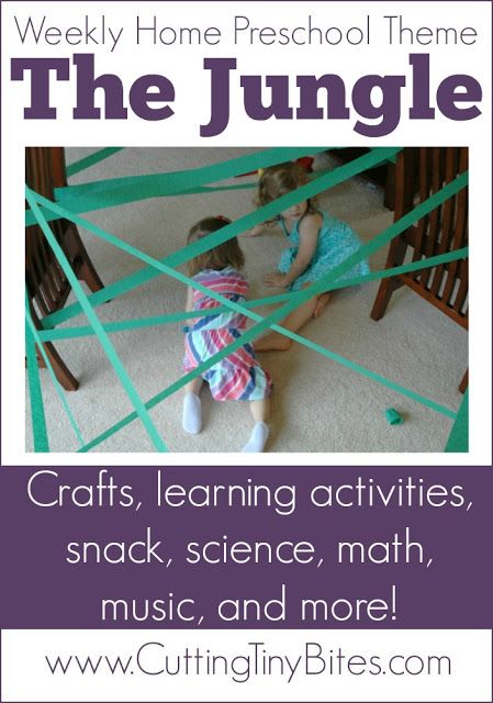 Jungle Theme Homeschool Preschool. Crafts, music, math activities, gross motor activities, picture books, and more! Perfect amount of activities for one week of EASY home pre-k. Jungle Themed Gross Motor Activities, Costa Rica Kindergarten, Music Theme Preschool, Jungle Animals Preschool, Jungle Theme Activities, Rainforest Preschool, Jungle Activities, Preschool Jungle, Rainforest Activities