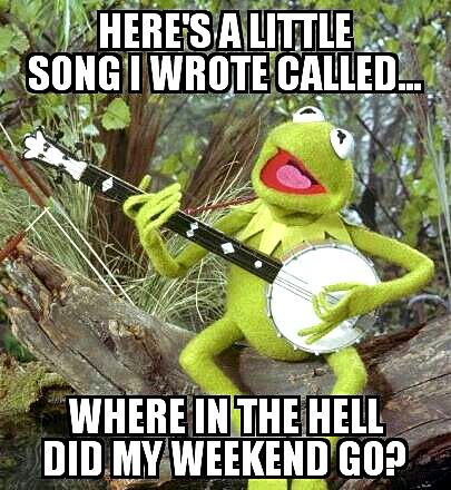 Where The Hell Did My Weekend Go? Memes Kermit, Sapo Kermit, Die Muppets, Bae Funny, Kermit The Frog Gif, Kermit Funny, Frog Wallpaper, Koci Humor, Rainbow Connection