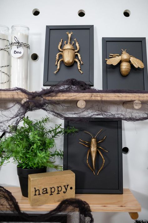 Diy Spider, Decorating Halloween, Dollar Store Halloween Decorations, Spooky Wreath, Spider Crafts, Creepy Halloween Decorations, Dollar Store Halloween, Dollar Store Hacks, Design Blogs