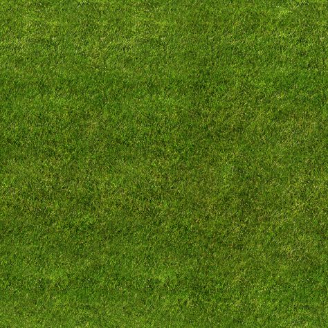 Grass seamless texture Grass Texture Seamless, Grass Photoshop, Grass Seamless, Grass Texture, Photoshop Landscape, Tree Photoshop, Plant Texture, Photoshop Rendering, Grass Pattern