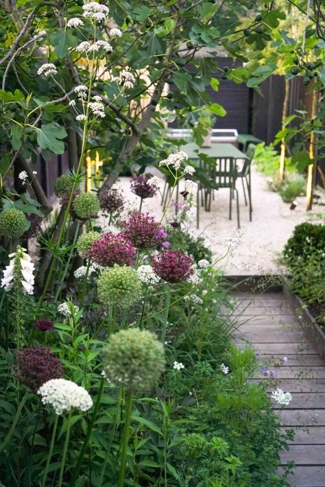 Before & After: A Seaside English Garden by Farlam & Chandler Breakfast Terrace, Whitstable Kent, Taman Diy, Moderne Have, Simple Landscape, English Garden Design, Jardim Diy, Seaside Garden, Harbor Town