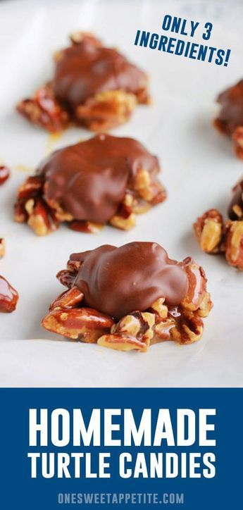 Homemade Turtles Candy. With just four simple ingredients you can have an elegant homemade candy ready for giving! Lightly toast pecans, drizzle with caramel, and top with melted chocolate. Easy Turtles, Pecan Turtles Recipe, Toast Pecans, Homemade Turtles, Turtle Candy, Turtle Recipe, Homemade Chocolate Candy, Turtles Candy, Easy Candy Recipes