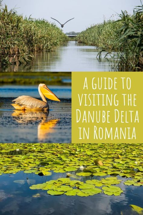 Danube Delta, Transylvania Romania, Travel Flight, Balkans Travel, Romania Travel, Flight Travel, Eastern Europe Travel, Destinations Travel, Travel Hotel