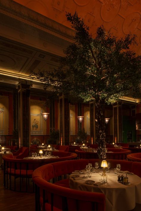 Fancy Italian Restaurant Aesthetic, Tree In Restaurant, Fancy Bar Aesthetic, Aesthetic Fancy Restaurant, Fancy Restaurant Interior, Fancy Restaurant Aesthetic, Velvet Restaurant, Italian Restaurant Aesthetic, Fancy Italian Restaurant