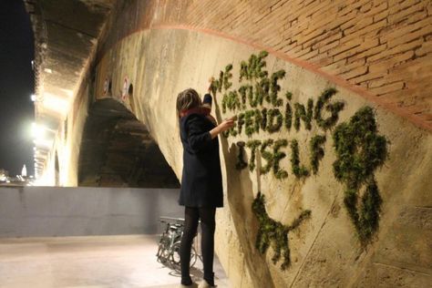 An activist makes moss graffiti in Paris with the slogan of the Climate Games… Nature, Moss Grafitti, Moss Graffiti, Guerrilla Street Art, Guerrilla Gardening, Instagram Trends, Moss Art, Eco Fashion, Urban Garden