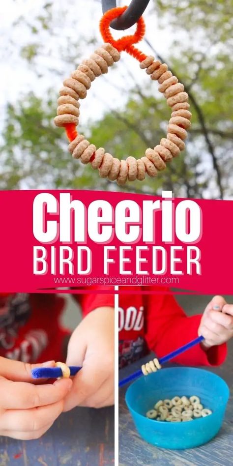 Things To Make With Preschoolers, Pandas, Make A Bird Feeder Preschool, Quail Activities For Preschool, Spring Animal Activities Preschool, Fine Motor Lesson Plans Preschool, Bird Feeder For Preschoolers, Outdoor Animal Activities Preschool, Bird Sensory Bin Preschool