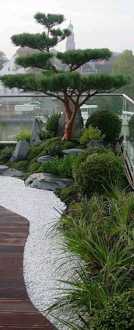 Japanese Garden House, Japanese Water Gardens, Reka Bentuk Landskap, Small Japanese Garden, Japanese Garden Landscape, Zen Garden Design, Japanese Water, Japan Garden, Asian Garden