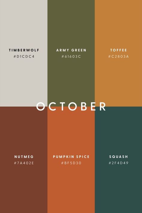 Hex Color Palette, Color Design Inspiration, Fotografi Kota, Bedding Inspiration, Color Schemes Colour Palettes, Fall Color Palette, Color Palate, Color Palette Design, Colour Pallette