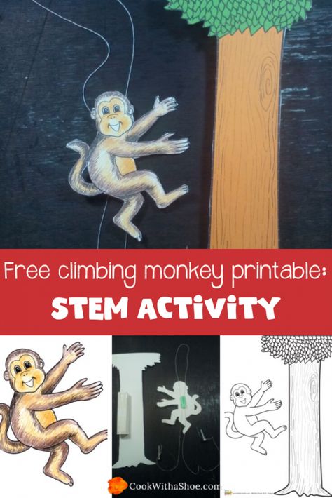 You'll love out checking out our fascinating free climbing monkey printable with your kids. Just another of our fantastic STEM activity gems! #STEM #science #kids #climbing monkey #printables #homeschooling #homeschool #education #STEMactivity Monkey Activity For Preschool, Safari Crafts For Older Kids, Monkey Printable, Simple Machines Activities, Jungle Vbs, Mammals Activities, Free Climbing, Kids Programs, Steam Lab