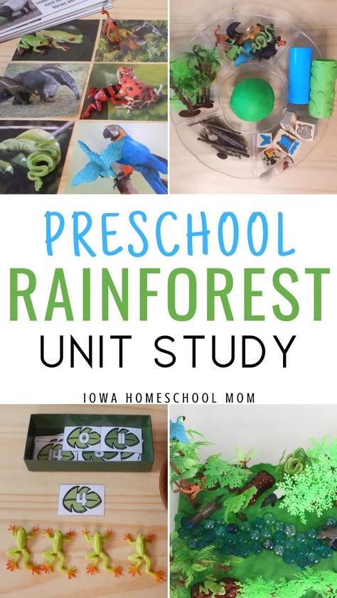 Rainforest activities for preschool. A jungle theme, rainforest unit study for preschoolers that covers science experiments, math, art projects, literacy, and free printables for learning and lesson plans. #rainforest #preschoolactivities #unitstudy Montessori, Rainforest Science Preschool, Rainforest Activities For Preschool, Rainforest Lesson Plans Preschool, Rainforest Printables Free, Rainforest Stem Activities, Rainforest Theme Preschool, Rainforest Activities Preschool, Preschool Jungle Theme